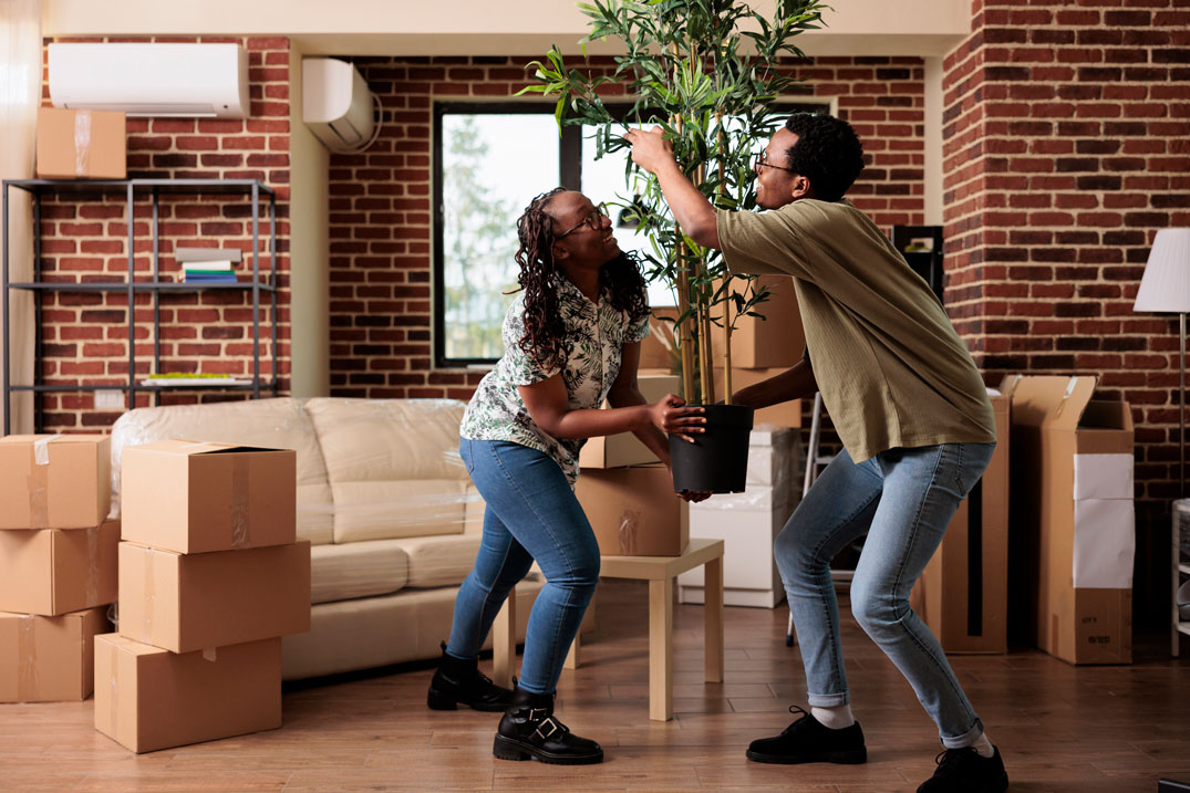 african-american-couple-decorating-new-apartment-move-unpacking-plant-furniture-living-room-relocating-household-property-after-buying-first-house-together-life-event